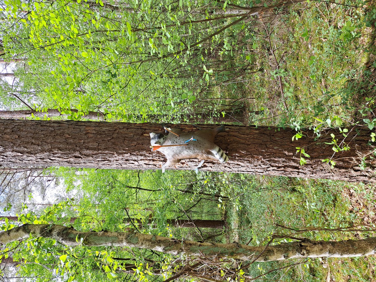 3D-Garstedt-2025-05.jpg