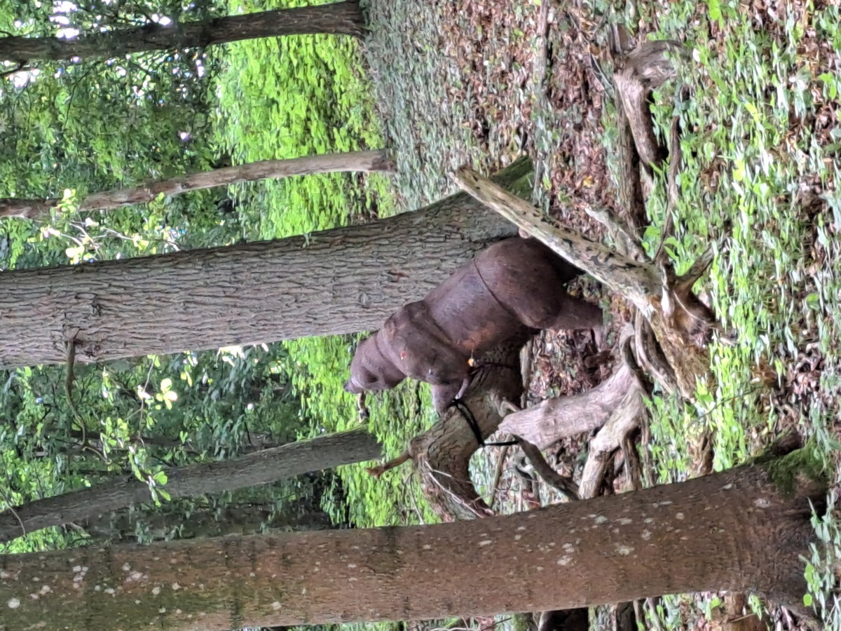 20250628_Waldseeturnier-07.jpg