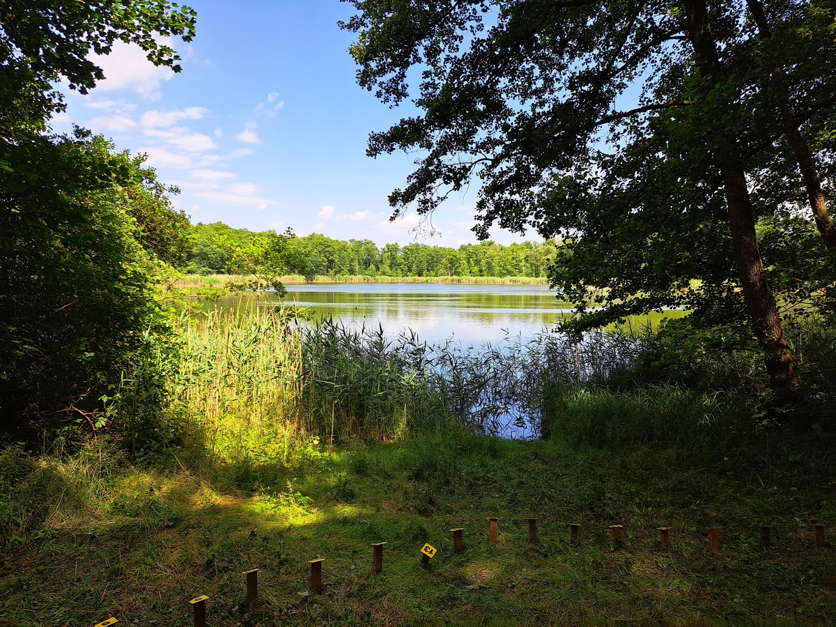 20250628_Waldseeturnier-05.jpg